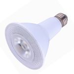 COB LED Par Light