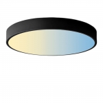 300mm 18W Dali DC 24V Tunable White CCT LED Ceiling Light